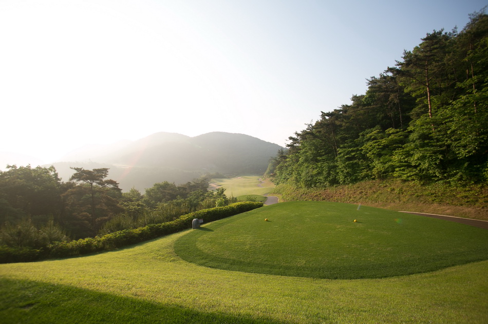 밸리코스