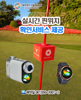 실시간핀위치