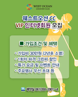 VIP 인터넷회원